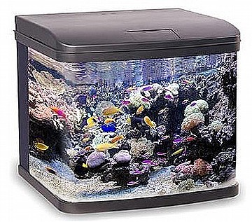 אקווריום 100 ליטר דקורטיבי AQUA SYNCRO GT100